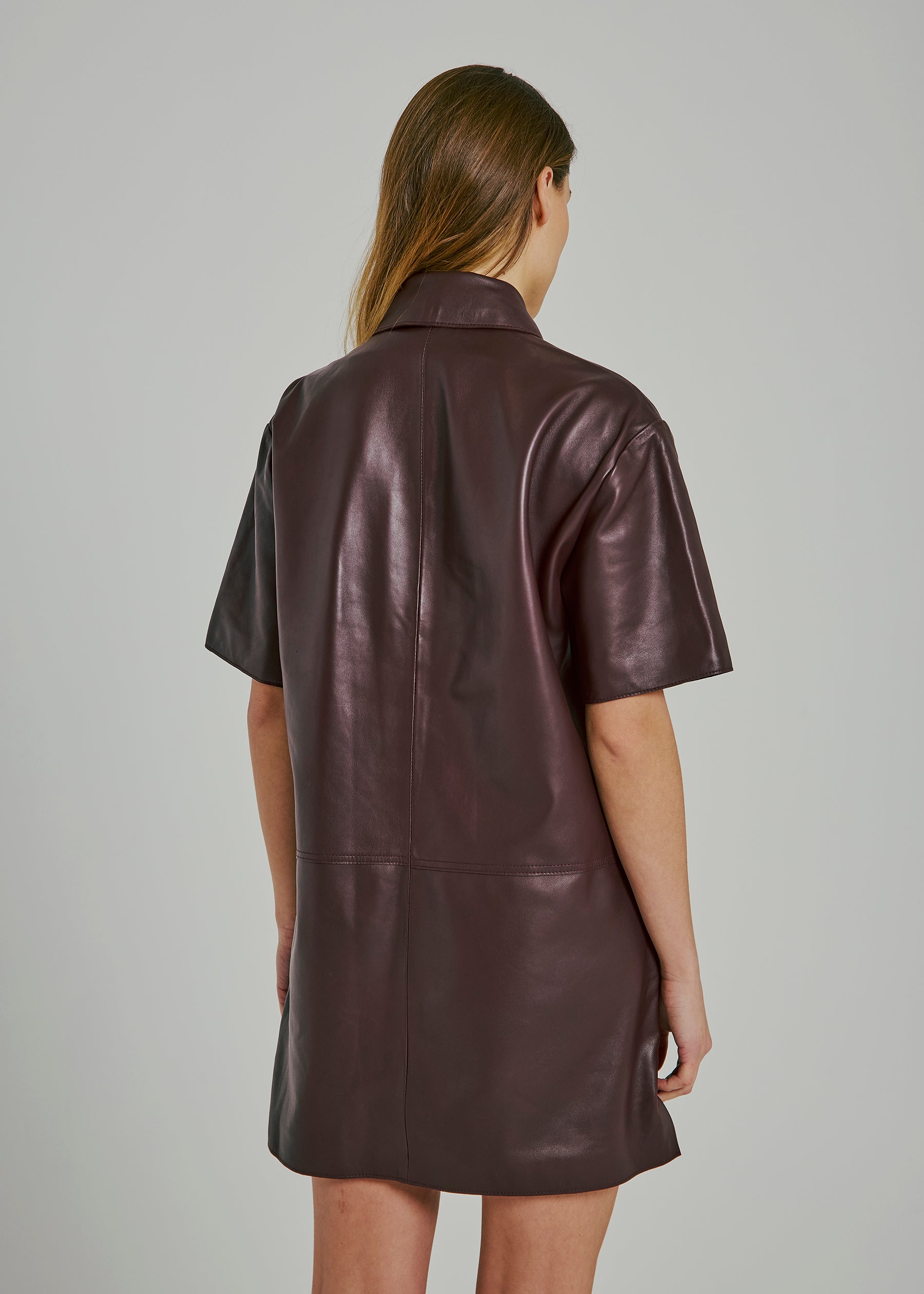 NORR Kamila leather dress Dresses Bordeaux
